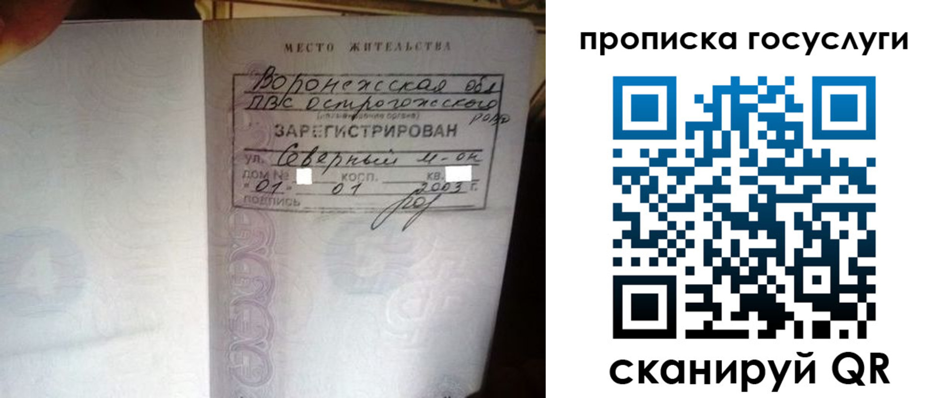 прописка законно в Волосово